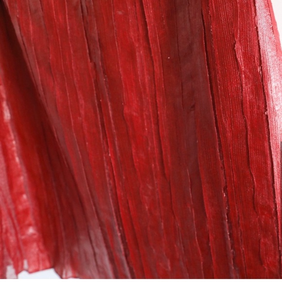 Rare Vintage Rosaria Lamanna skirt unique coated finish brick red pleated full S - Picture 5 of 7